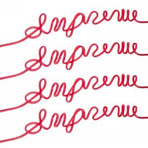 NWT Supreme Silly Straw (2 pack) - Red